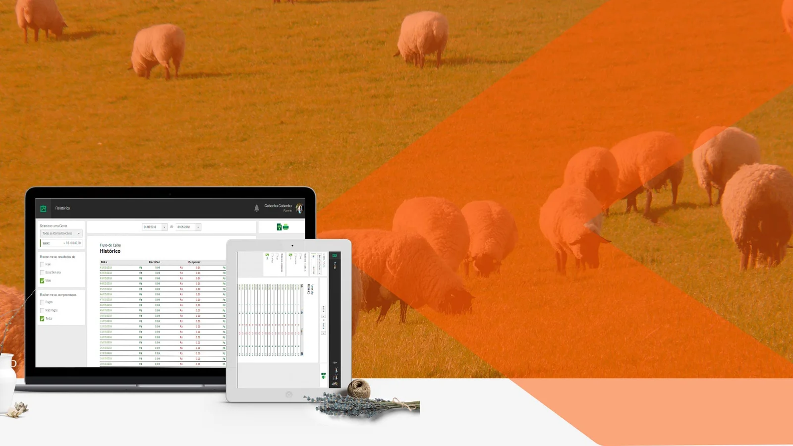 Foto do projeto Farmin App: Inovação na Agricultura Digital